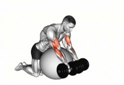 上肢肌肉训练动作-上肢肌肉训练适合什么运动