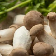 如何去除蘑菇的味道