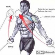胸大肌的起止点在哪里-胸大肌的位置起止点是什么