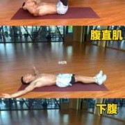 腹部发力能锻炼腹肌吗