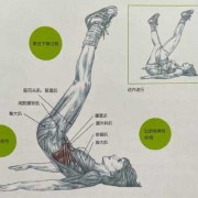 锻炼腹肌做什么动作-锻炼腹肌要做什么运动