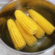 煮好的玉米如何保存（煮好的玉米如何保存的久一些）