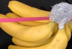 香蕉切开如何保存,香蕉切开如何保存不变色 