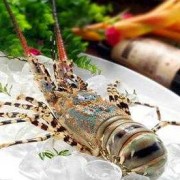 青龙龙虾如何保存方法图片 小青龙龙虾如何保存