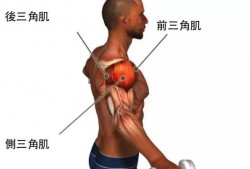 球形肩膀是指什么,球形肩膀主要练哪块肌肉 