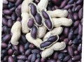 紫花生米的功效与作用点 紫花生如何食用方法