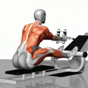 斜方肌健身-锻炼斜方肌使用什么器械