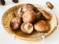如何分辨新鲜香菇的好坏图解-如何分辨新鲜的香菇