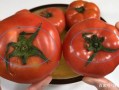 如何看西红柿,如何看西红柿的好坏 