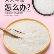 大米怎样防米虫 大米里如何防虫子
