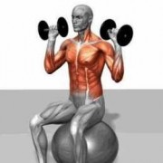 什么动作可以练肌肉-做什么运动可以练肌肉