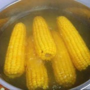 水煮玉米方法窍门