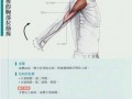  拉伸手臂为什么会肌肉痛「拉伸手臂的好处」