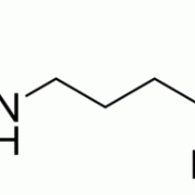 精氨酸是什么的前体_精氨酸是啥