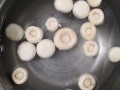 口蘑的制作-口蘑如何制作