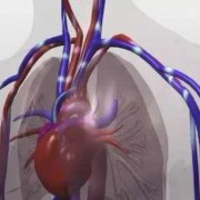 心肺能力提升 能带来哪些好处-心肺提高了有什么好处