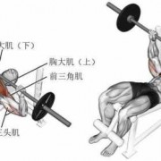 有什么方法练肌肉力量（如何练肌肉力量而不是维度）