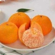 橘子如何保存时间长