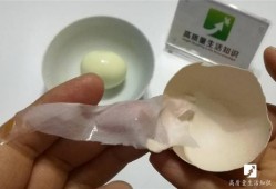 怎么弄出完整的蛋壳-如何弄出完整的蛋壳
