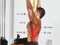 背肌训练要用到什么,背肌训练要用到什么肌肉 