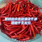 如何腌制新鲜辣椒_腌制新鲜辣椒的方法