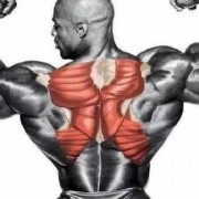背肌下面叫什么,背部下侧肌肉 