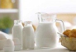  为什么牛奶减脂增肌「喝牛奶为什么减肥」