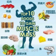 能增加肌肉的食物 肌肉能量吃什么