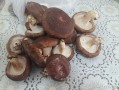 香菇如何保存不坏 香菇如何保持香