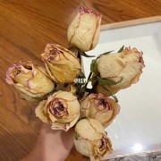 如何制作玫瑰花干花