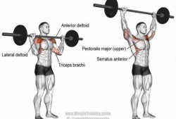  杠铃是什么肌肉收缩「杠铃锻炼的是哪部分肌肉」