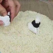 大米小米怎么放不生虫 大米小米如何不生虫子