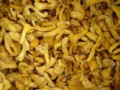 黄菇菌如何烹饪_黄菇菌如何烹饪吃