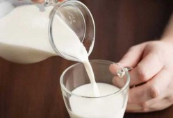 健身早上喝什么牛奶好（健身早上喝牛奶好吗）