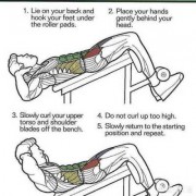 仰卧起坐肌肉属于什么收缩,仰卧起坐参与的肌肉 