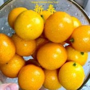 小金橘如何吃,小金桔怎么吃营养价值高 