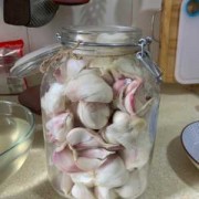  教你家庭如何制作糖蒜「家庭版糖蒜的制作方法窍门」