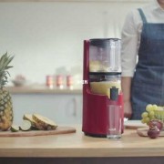榨汁机加上菠萝 榨汁机如何榨菠萝汁