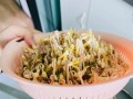 怎么制绿豆芽-绿豆如何制作绿豆芽