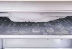  冰箱不除霜会怎么样「冰箱不除霜五大危害」