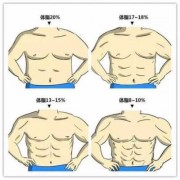 腹肌和肌肉有什么区别_腹肌和赘肉的区别