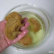 鲜猴头菇如何洗才能干净
