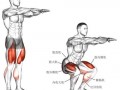 深蹲主要是锻炼什么肌肉 深蹲主要锻炼什么部位
