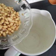 做豆浆的豆子如何煮熟