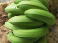 青香蕉自然熟要放几天