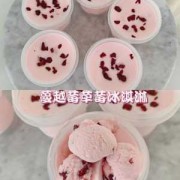 草莓粉和草莓冰淇淋粉的区别