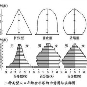 如何做人口金字塔,人口金字塔是什么意思 