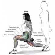 腿的常用锻炼方法是什么,腿的锻炼方法图解 