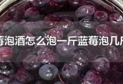  蓝莓果汁如何酿酒「蓝莓果酒的制作方法 自酿」