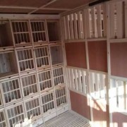 鸽子寝室 鸽子宿舍怎么建的